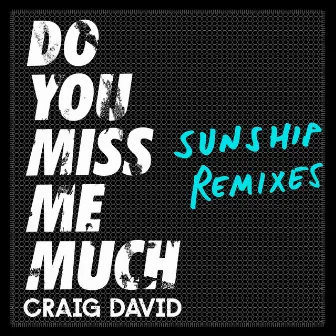 Do You Miss Me Much (Sunship Remixes) by Sunship