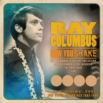 Now You Shake by Ray Columbus