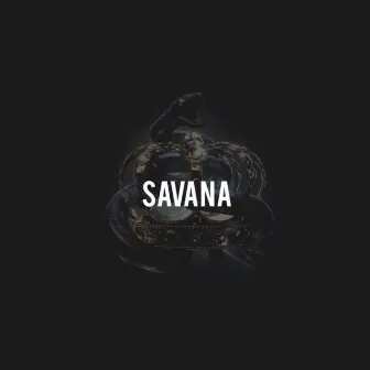 Savana by Mc Zoio de Gato