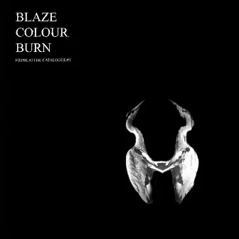 Blaze Colour Burn (Fiepblatter Catalogue #1) by Jan St. Werner