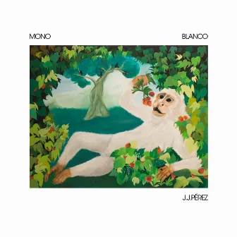 Mono Blanco by J.J. Pérez