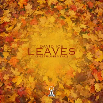 Leaves (Instrumental) by David Ice