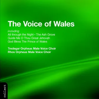 Tredegar Orpheus and Rhos Orpheus Male Voice Choirs: Voice of Wales (The) by Tredegar Orpheus Male Voice Choir