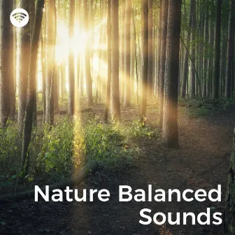 Nature Balanced Sounds: Harmony's Journey by The Nature Soundscapes