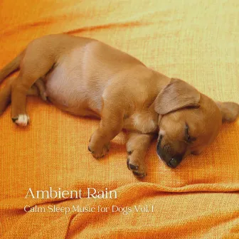 Ambient Rain: Calm Sleep Music for Dogs Vol. 1 by Sleepy Dogs