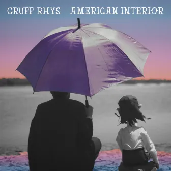 American Interior by Gruff Rhys