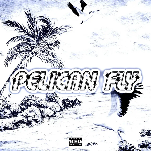 Pelican Fly