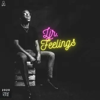 Feelings by Lourenço Jr.