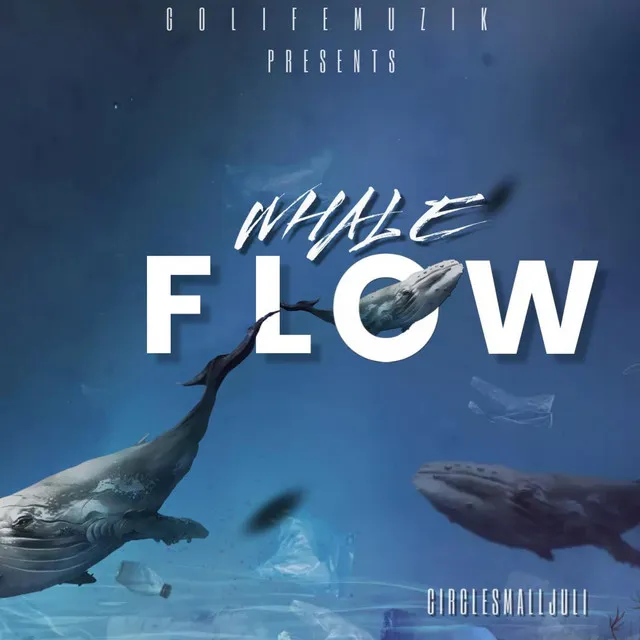 Whale Flow