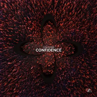 Confidence by Convinzed