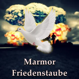 Friedenstaube by Marmor