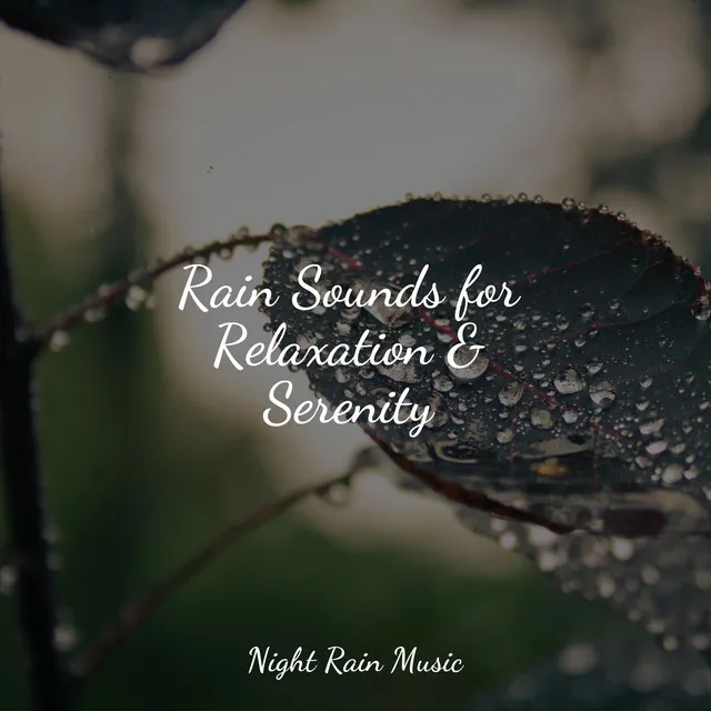 Rain Sounds for Relaxation & Serenity