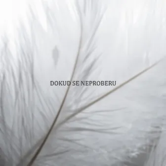 Dokud se neproberu by Dayne