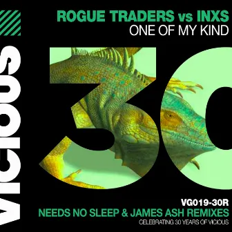 One Of My Kind (Remixes) by Rogue Traders