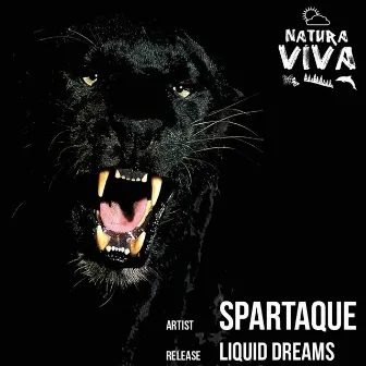 Liquid Dreams by Spartaque