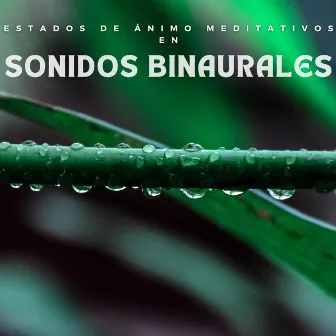 Estados De Ánimo Meditativos En Sonidos Binaurales by Sistemas subliminales de ondas cerebrales de ritmo binaural