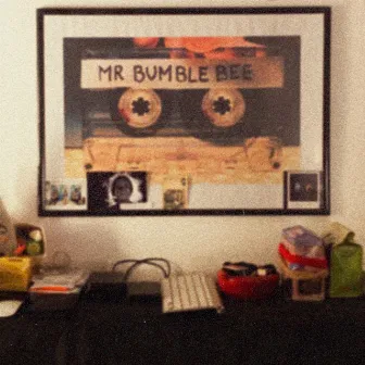 Mr Bumble Bee by Jess