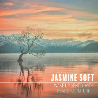 Wake Up Gently with Beautiful Nature: Good Morning Music & Singing Birds, Rain and Forest Sounds by Jasmine Soft