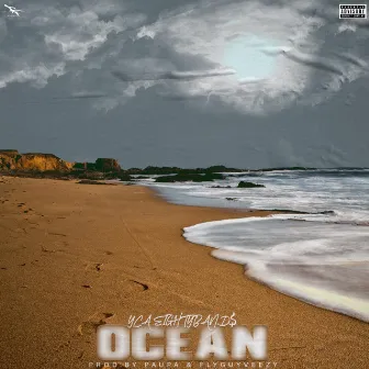 Ocean by Yca Eightybands