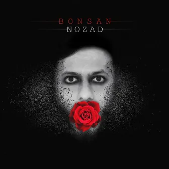 Nozad by Bonsan