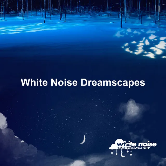 White Noise Dreamscapes