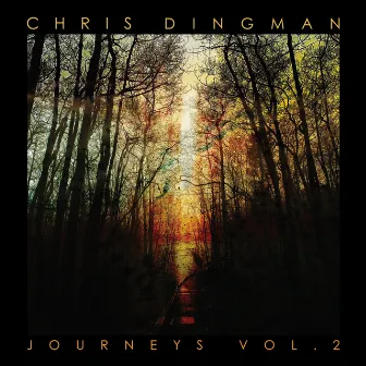 journeys vol. 2 by Chris Dingman