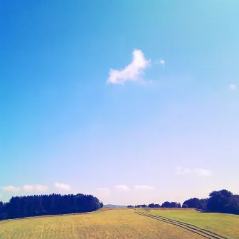 Fly by Colour Of Rice