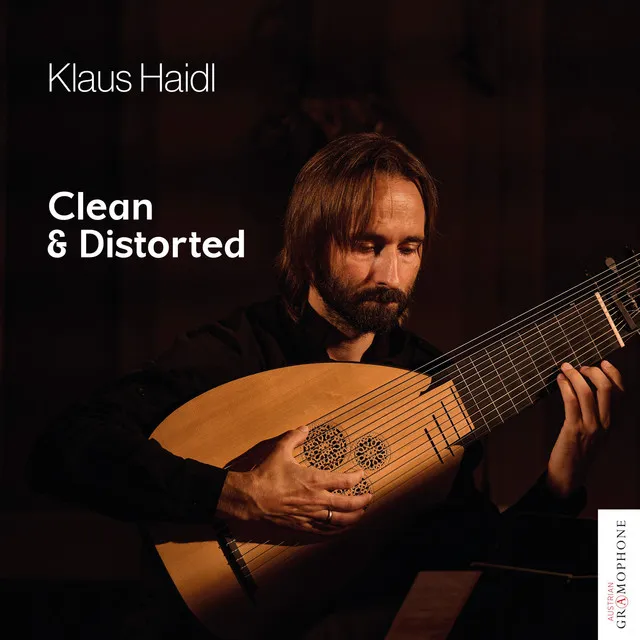 Klaus Haidl: Clean & Distorted