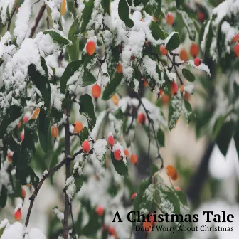 Don't Worry About Christmas Time by A Christmas Tale