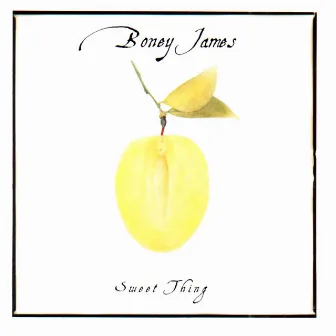 Sweet Thing by Boney James