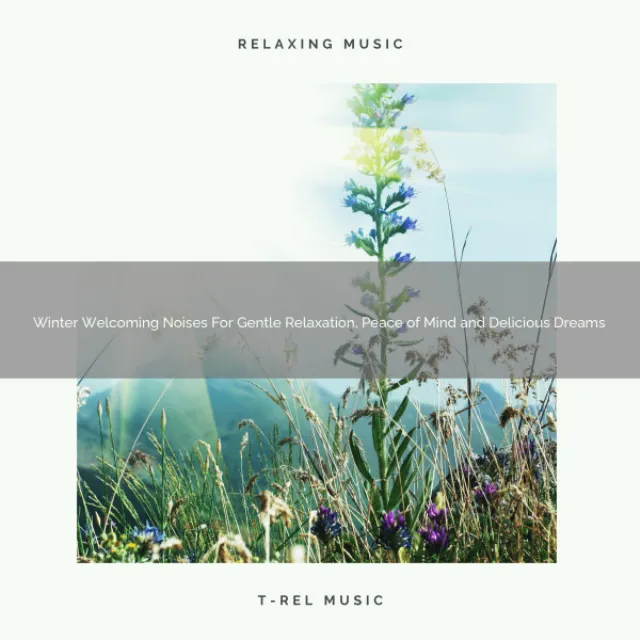 Winter Welcoming Noises For Gentle Relaxation, Peace of Mind and Delicious Dreams