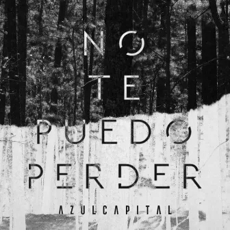 No Te Puedo Peder by Azul Capital