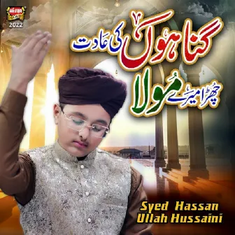 Gunahon Ki Aadat by Syed Hassan Ullah Hussaini