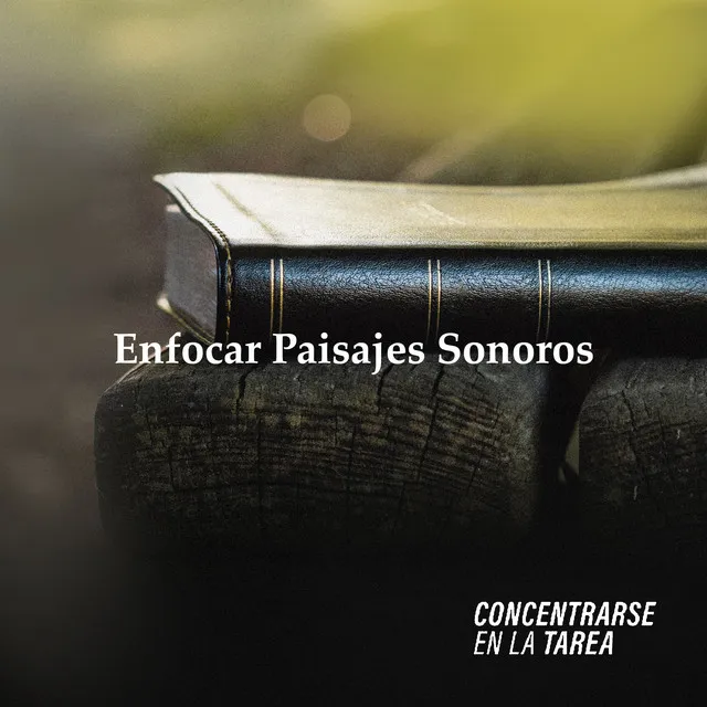 Enfocar Paisajes Sonoros