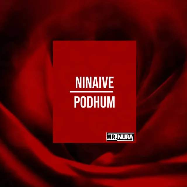 Ninaive Podhum