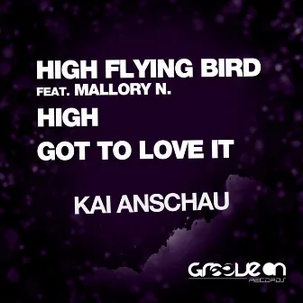 High Flying Bird by Kai Anschau