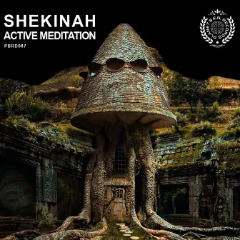 Active Meditation by Shekinah