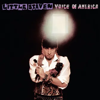 Voice Of America by Little Steven