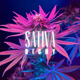 Sativa by Dichy