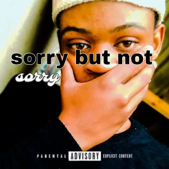 Sorry but Not Sorry by SmokeDeog