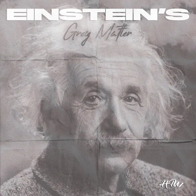 Einstein's Grey Matter