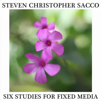 Six Studies for Fixed Media by Steven Christopher Sacco