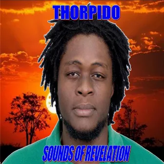 Sounds of Revelation by Thorpido