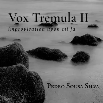 Vox Tremula II (Improvisation upon Mi Fa) by Pedro Sousa Silva