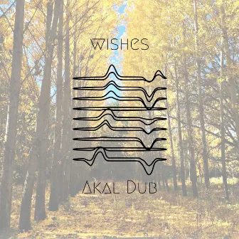 Wishes by Akal Dub