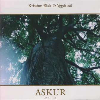 Askur (Live Version) by Kristian Blak