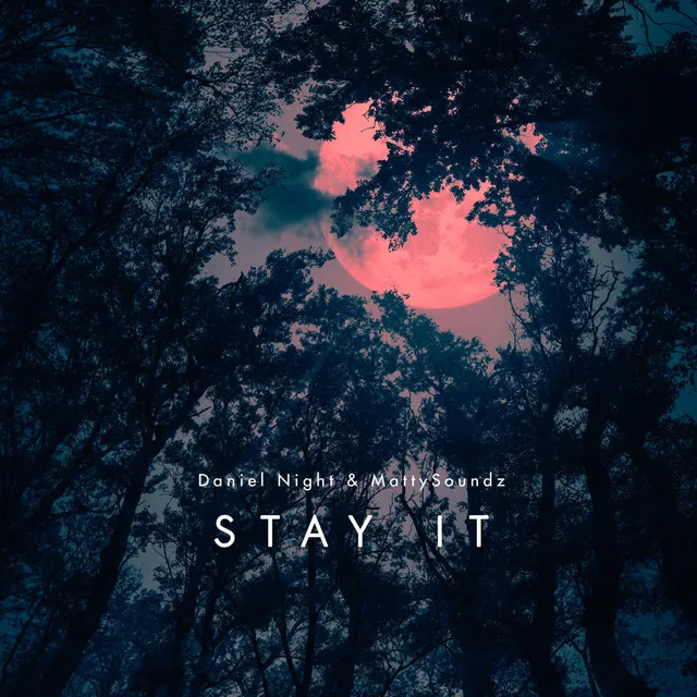 Stay It (Radio Edit)