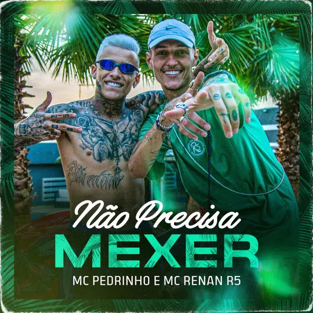 Não Precisa Mexer