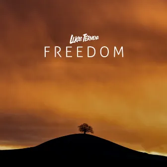 Freedom by Lukas Termena