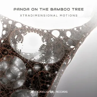 Xtradimensional Motions by Panda On The Bamboo Tree